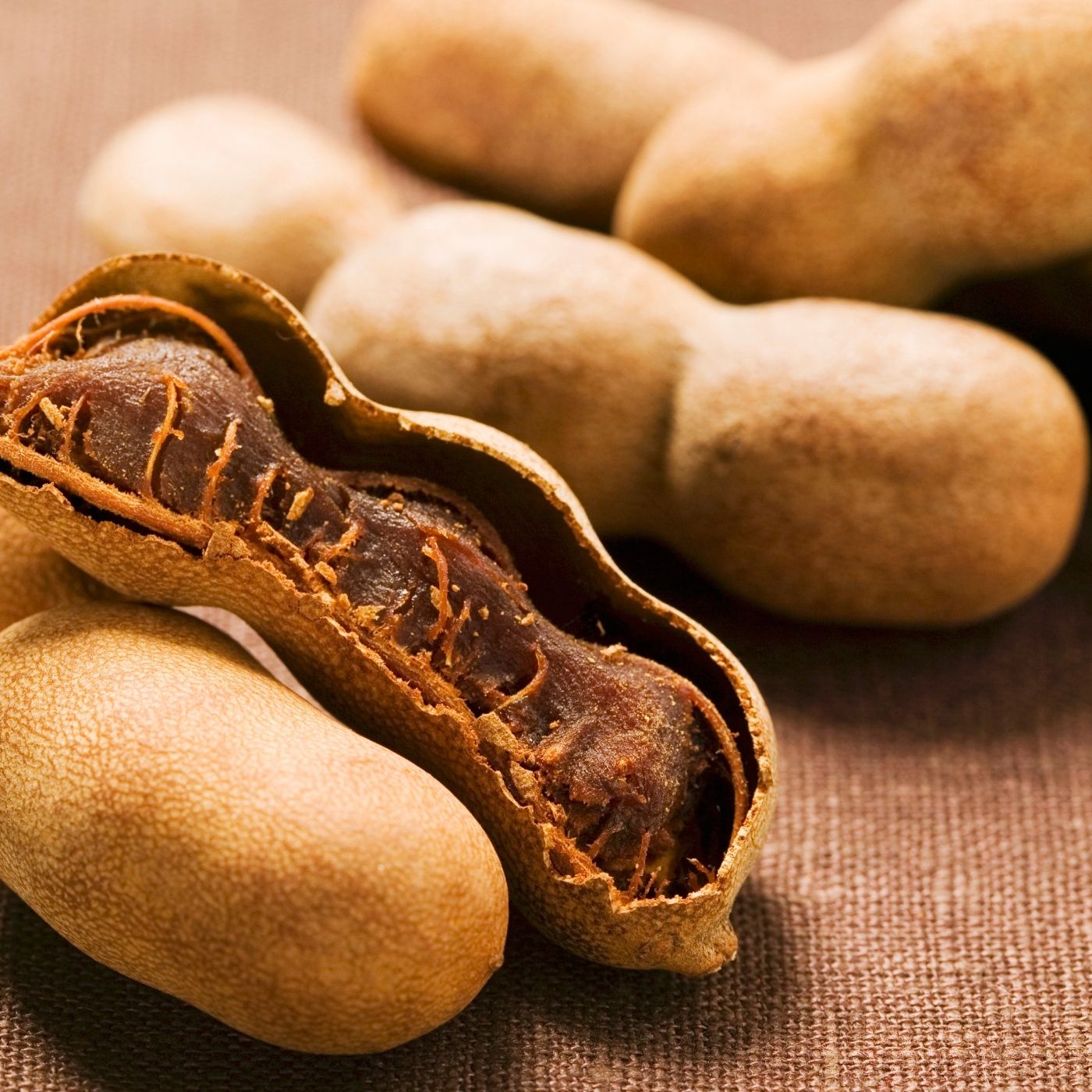 Tamarind - Herbs & Spices