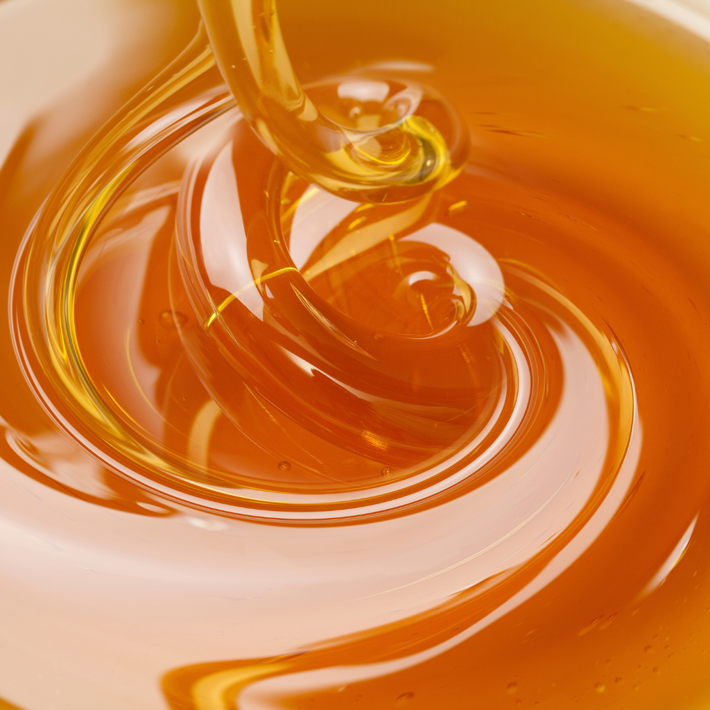 Wild Forest Honey