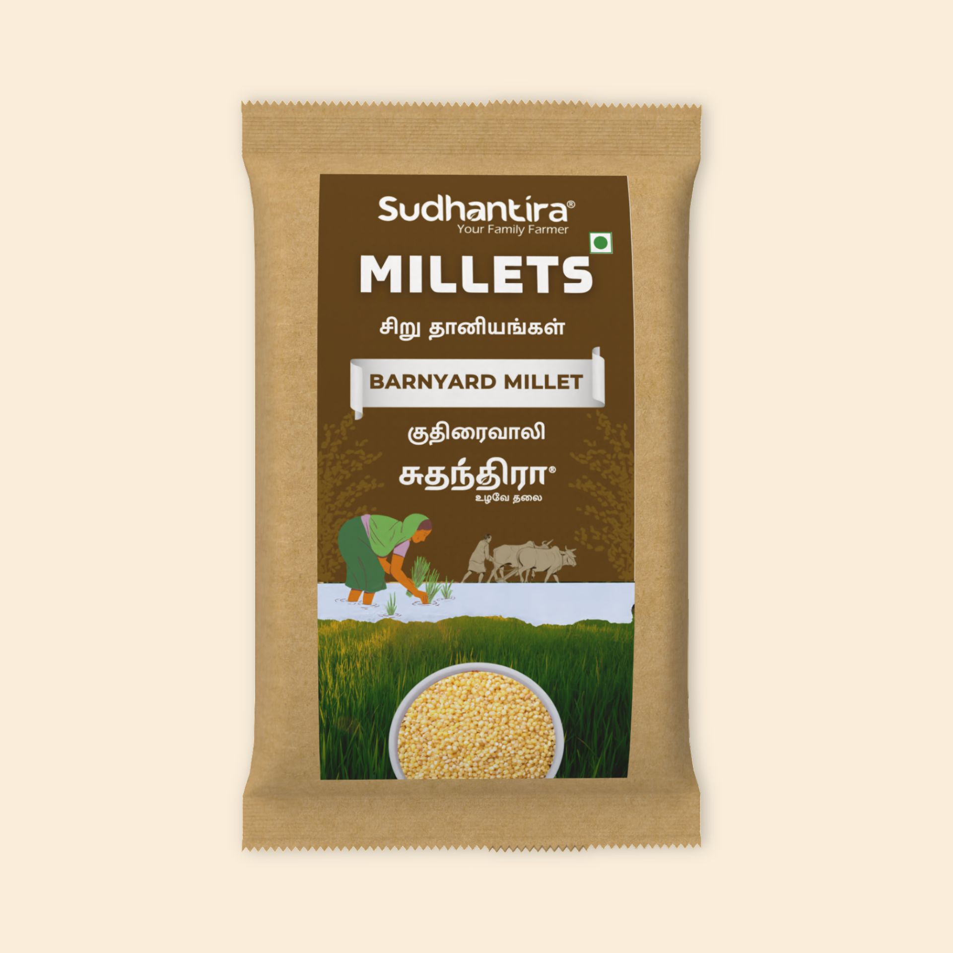 Barnyard Millet / Kuthiraivali / Sanwa