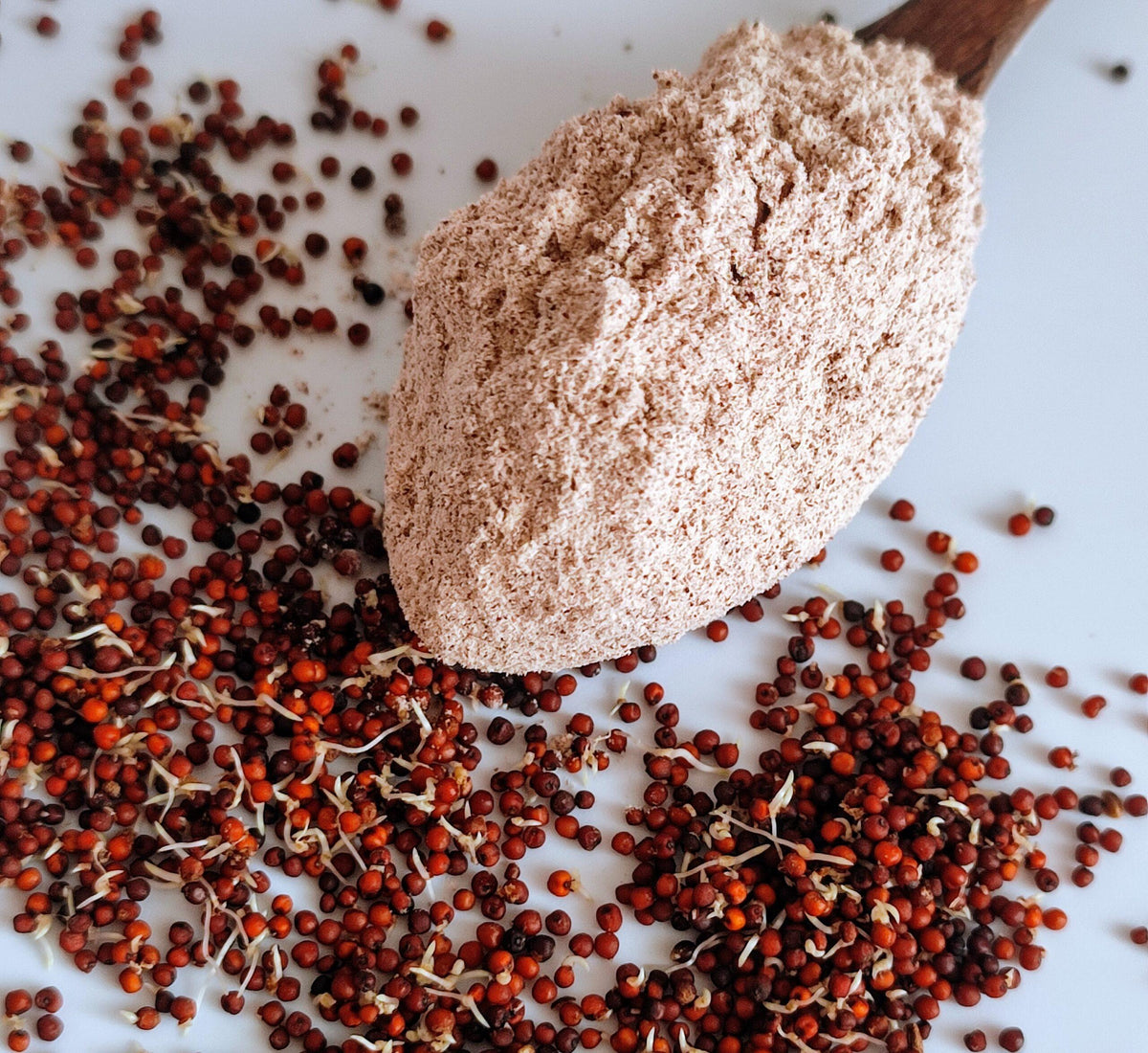Organic Ragi Organic Sprouted Ragi / Finger Millet Flour – Sudhantira