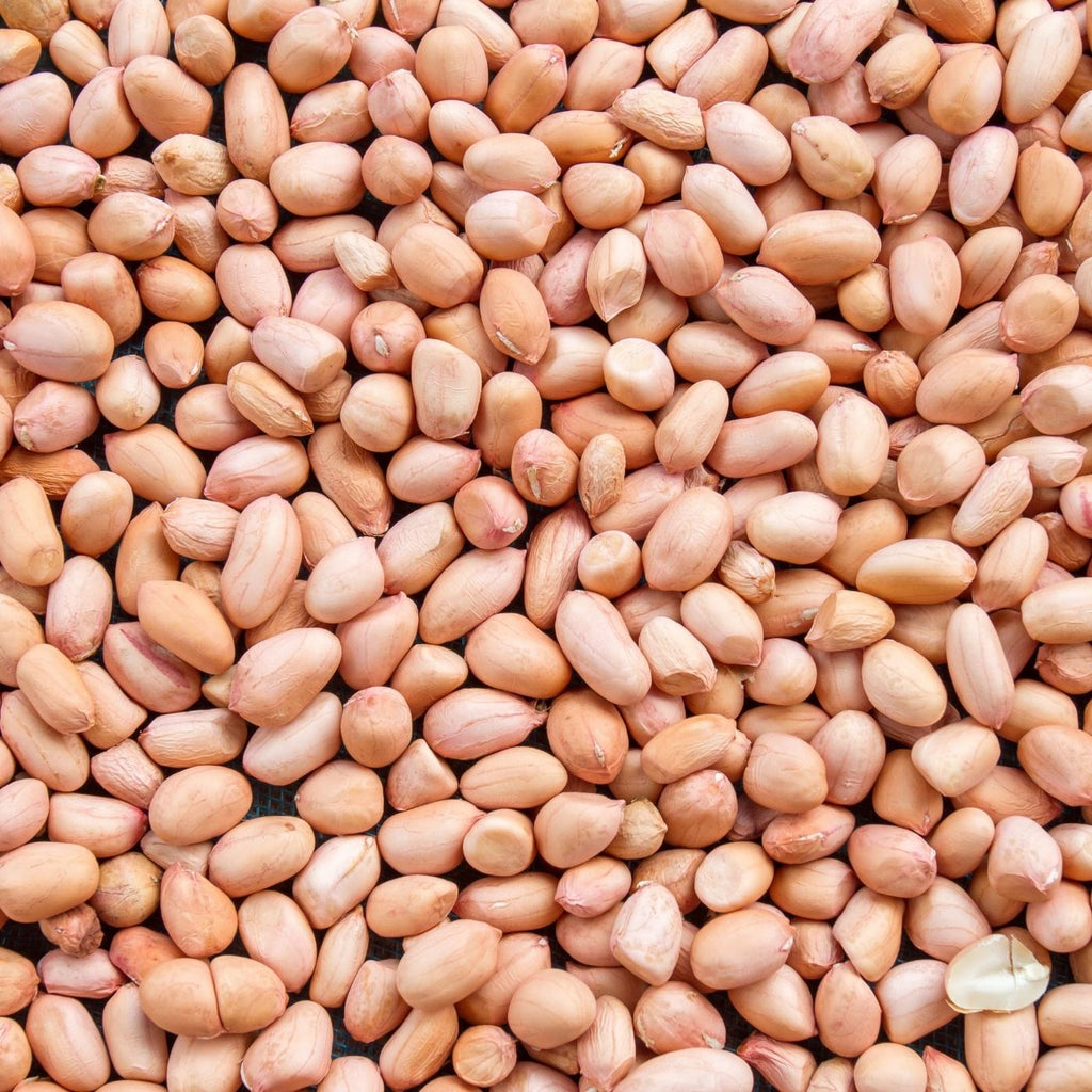 Raw Groundnut - Nuts & Seeds